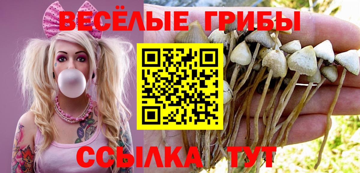Галлюциногенные грибы ЛСД Среднеуральск